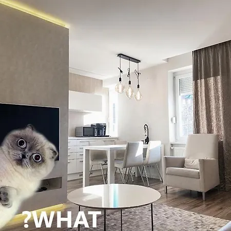 Luxury Lifestyle In *