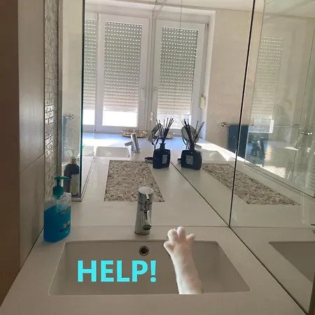 Luxury Lifestyle In Apartment *