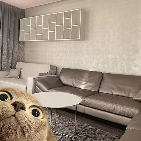 Luxury Lifestyle In Apartment *